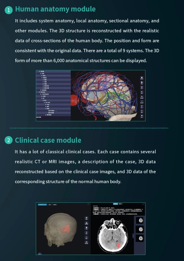 Cheap Price New Virtual Autopsy Education 3D Medical Anatomy for University Table