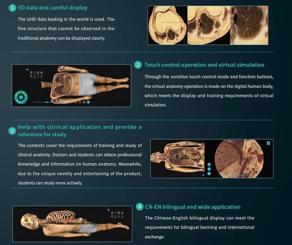 Cheap Price New Virtual Autopsy Education 3D Medical Anatomy for University Table