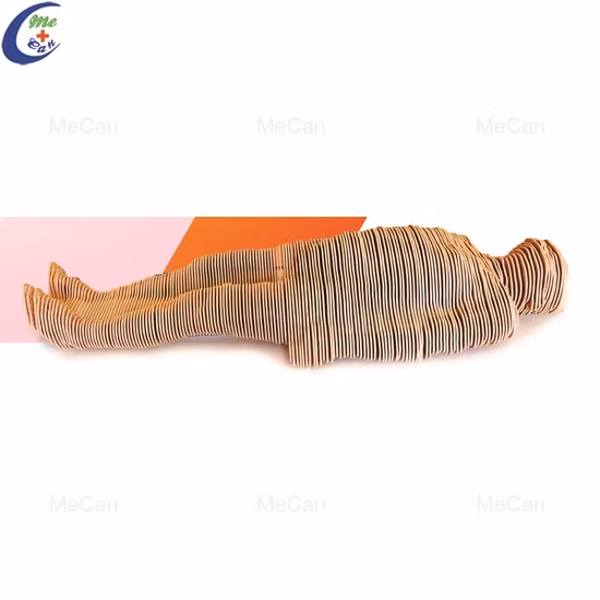 Touch Screen 3D Anatomy Education Tavolo anatomico virtuale